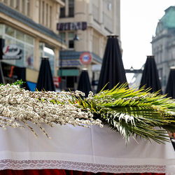 2025 Palmsonntag / Erzdiözese Wien/ Schönlaub, Stephan Schönlaub
