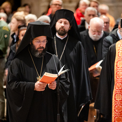 Erzdiözese Wien/ Schönlaub, Stephan Schönlaub