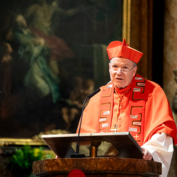 Erzdiözese Wien/ Schönlaub, Stephan Schönlaub