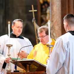 Priesterjubiläen / Erzdiözese Wien/ Schönlaub