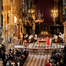 2025 Karfreitag / Erzdiözese Wien/Schönlaub