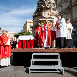 2025 Palmsonntag / Erzdiözese Wien/ Schönlaub, Stephan Schönlaub