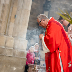 2025 Palmsonntag / Erzdiözese Wien/ Schönlaub, Stephan Schönlaub
