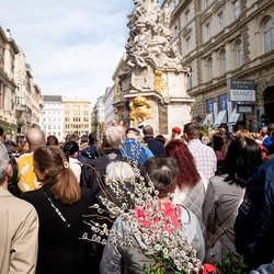 2025 Palmsonntag / Erzdiözese Wien/ Schönlaub, Stephan Schönlaub
