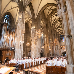 Chrisammesse 2025 / Erzdiözese Wien/ Schönlaub, Stephan Schönlaub