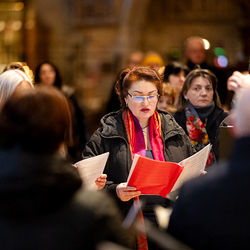 Erzdiözese Wien/ Schönlaub, Stephan Schönlaub