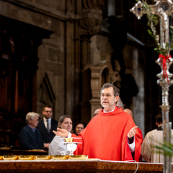 2025 Palmsonntag / Erzdiözese Wien/ Schönlaub, Stephan Schönlaub