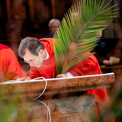 2025 Palmsonntag / Erzdiözese Wien/ Schönlaub, Stephan Schönlaub