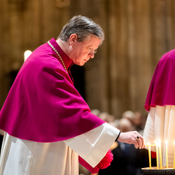 Erzdiözese Wien/ Schönlaub, Stephan Schönlaub