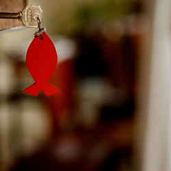 Weihe Altarbild AKH / Erzdiözese Wien/ Schönlaub, Stephan Schönlaub