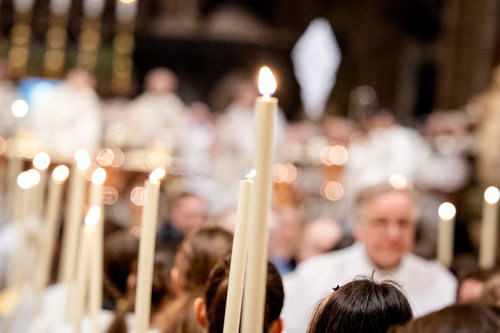 Chrisammesse 2026 / Erzdiözese Wien/Schönlaub, Stephan Schönlaub