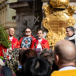 2025 Palmsonntag / Erzdiözese Wien/ Schönlaub, Stephan Schönlaub