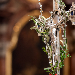 2025 Palmsonntag / Erzdiözese Wien/ Schönlaub, Stephan Schönlaub