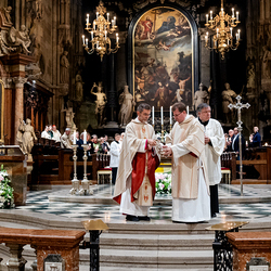 2025 Osternacht / Erzdiözese Wien/Schönlaub