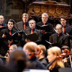 Te-Deum Papst Leo XIV / Erzdiözese Wien/Schönlaub, Stephan Schönlaub