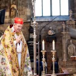 Te-Deum Papst Leo XIV / Erzdiözese Wien/Schönlaub, Stephan Schönlaub