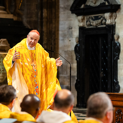 Priesterjubiläen / Erzdiözese Wien/ Schönlaub